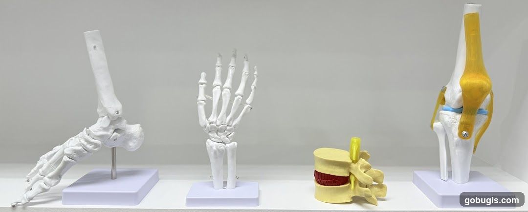 Curative Medicare 仁愈堂