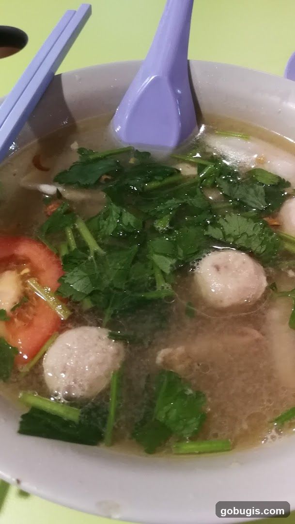 Bowl of Soup with Meatballs and Vegetables