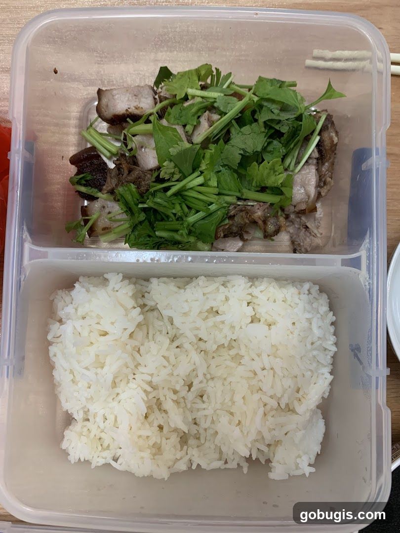 Roasted Pork and Rice