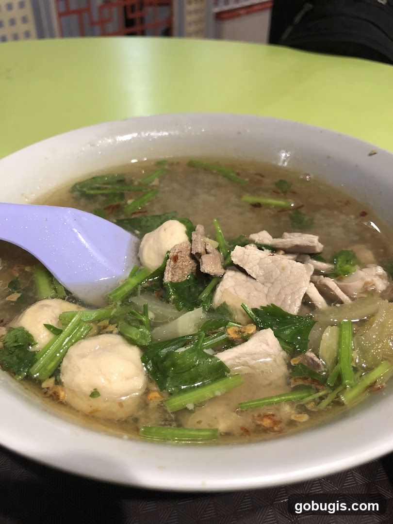 Bowl of Noodle Soup