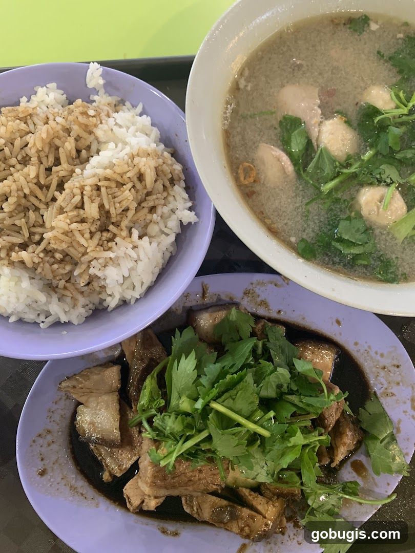 Braised Pork Rice with Soup