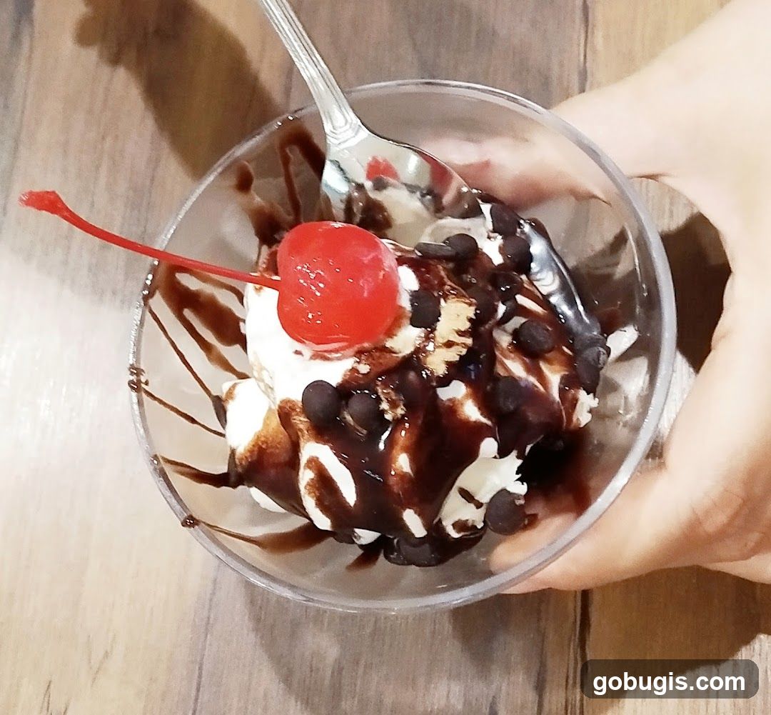 Ice Cream Sundae