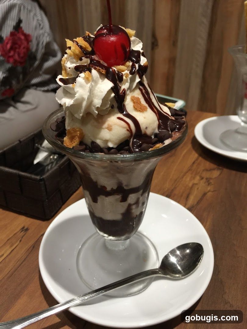 Ice Cream Sundae