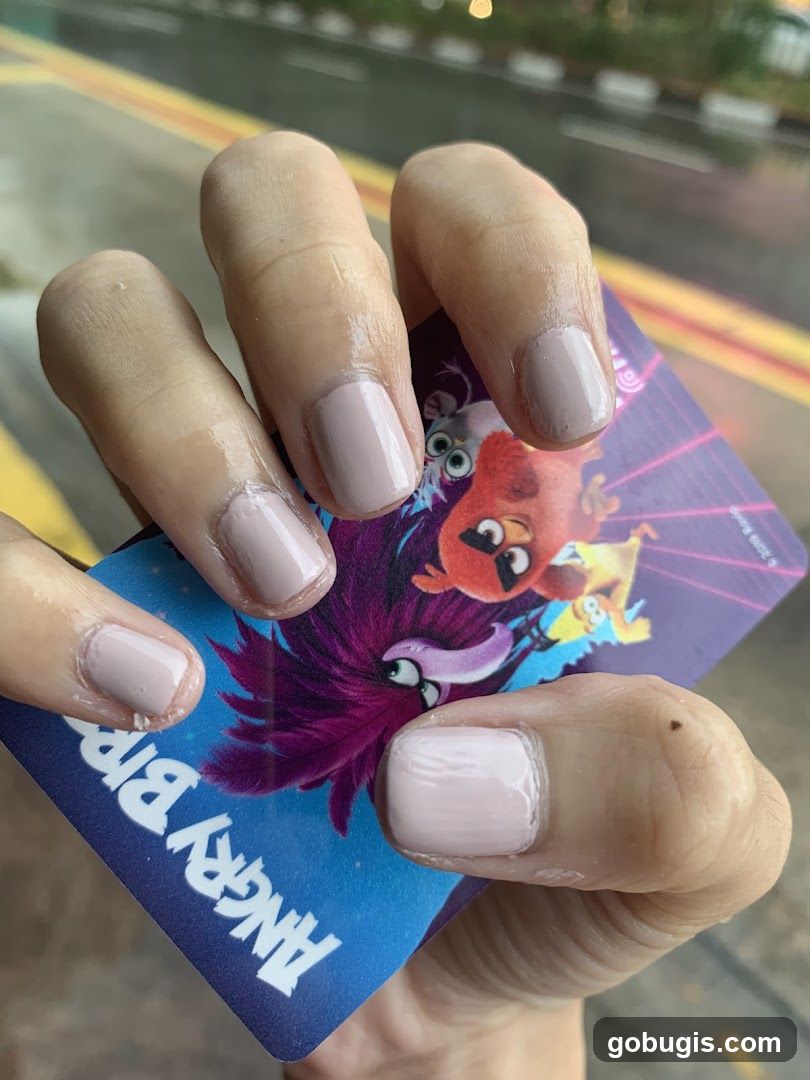 Angry Birds Card