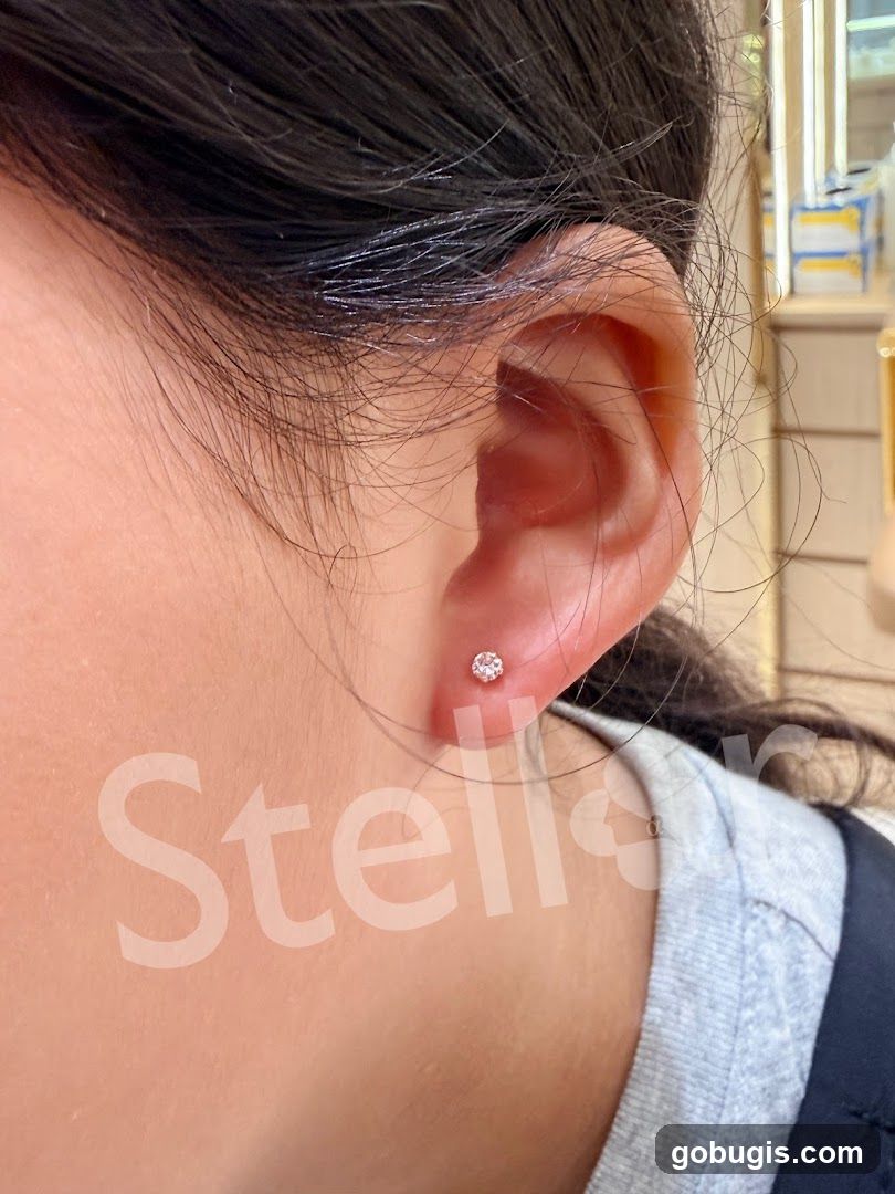 Stellar