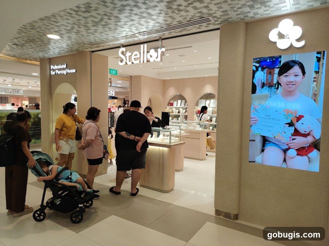 Stellar