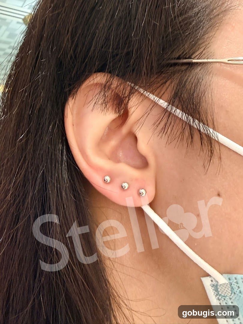 Ear Piercings