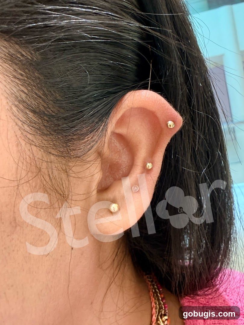 Close-up of a person's ear with multiple piercings