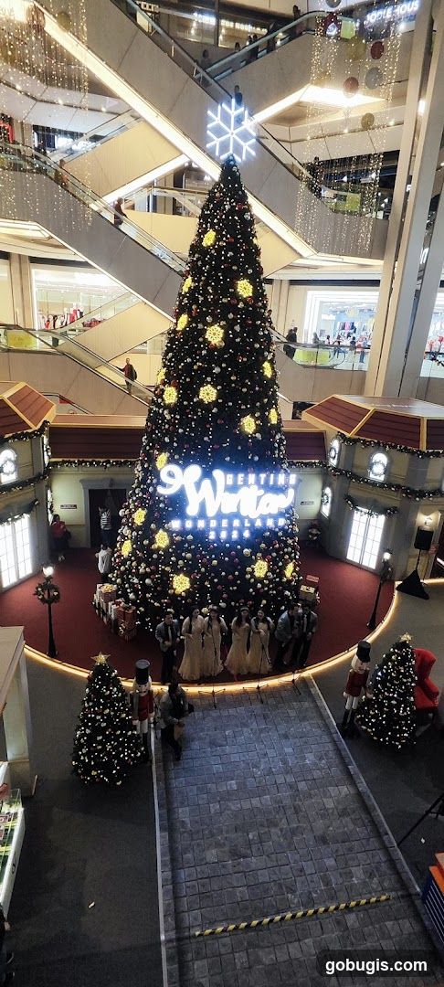 Christmas Tree Display