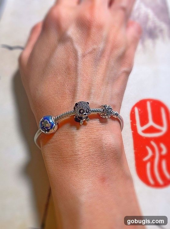 Pandora Bracelet with Charms