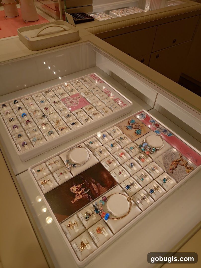 Jewelry Display Case