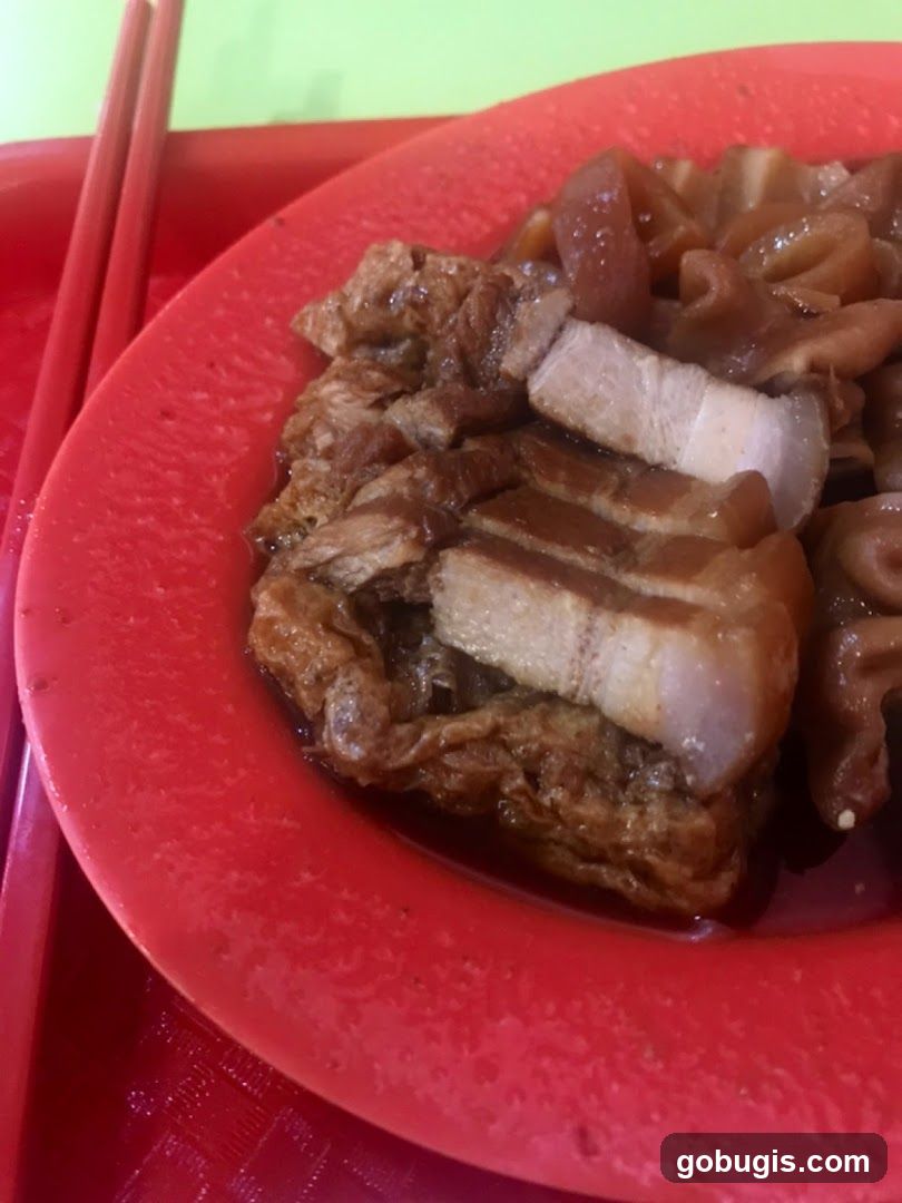 Braised Pork Belly and Intestines
