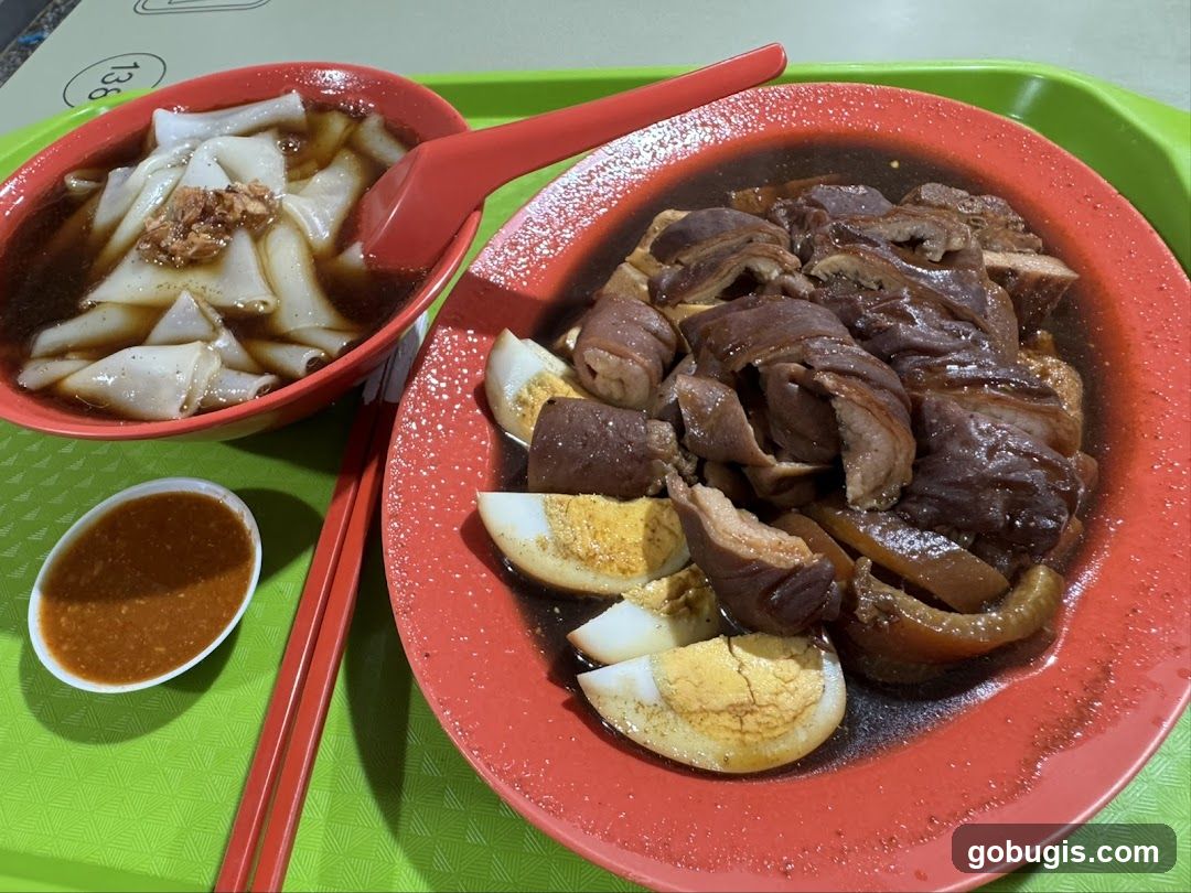 Braised Pork and Noodles