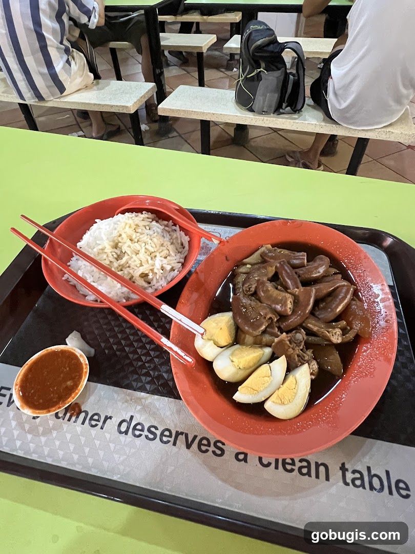 Braised Pork and Egg Rice