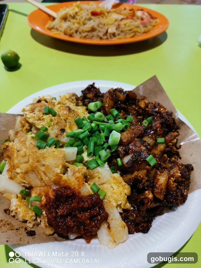 Fried Carrot Cake and Noodles