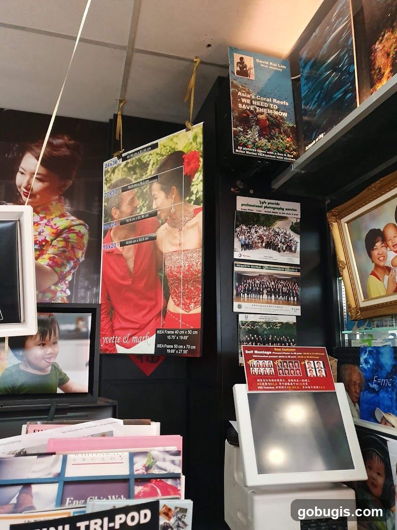 Photography Services Display