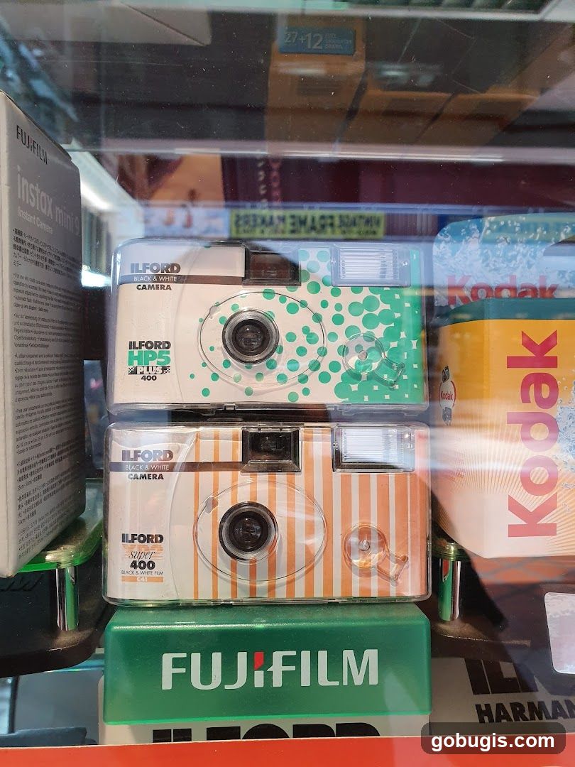 Disposable Cameras and Film