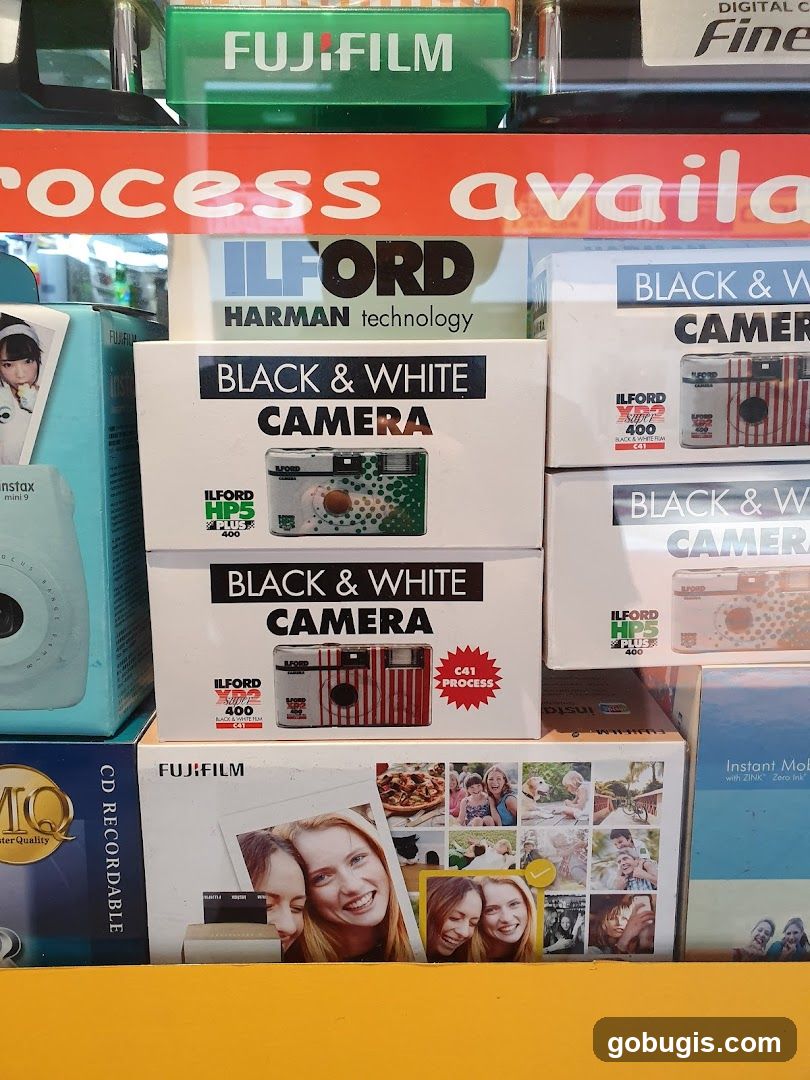 Camera and Film Display