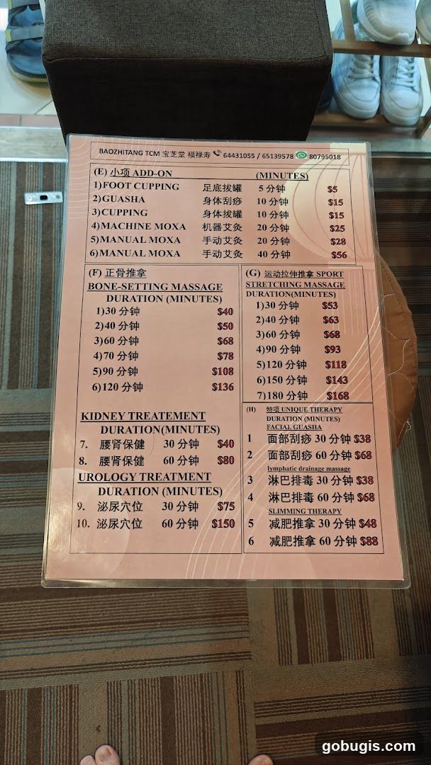 BAOZHITANG TCM Price List