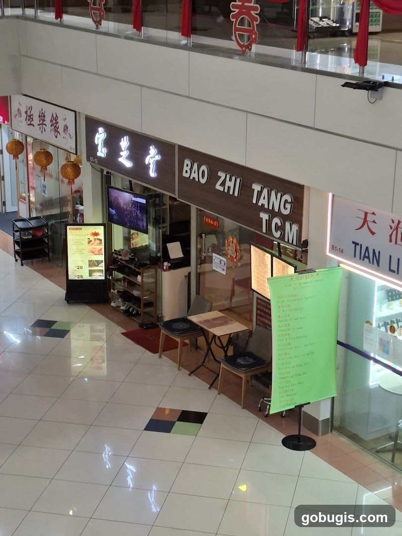 Bao Zhi Tang TCM Shop