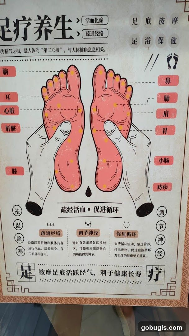 Foot Reflexology Chart