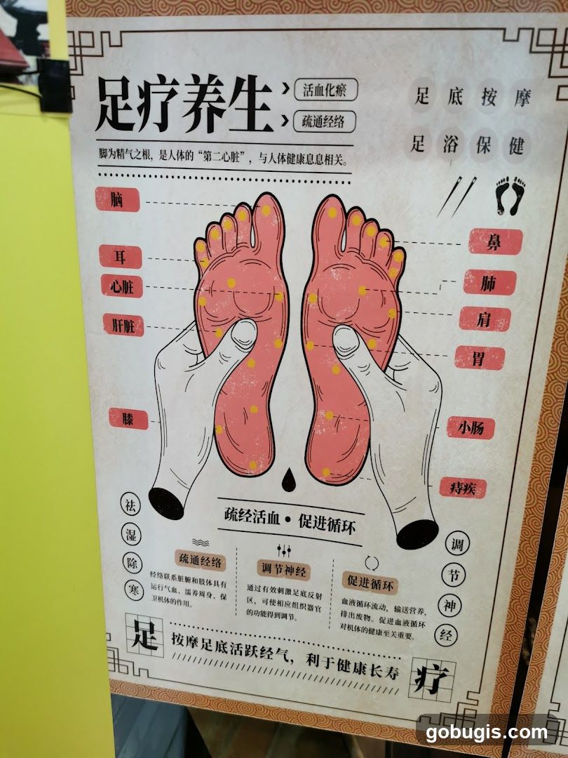 Foot Reflexology Chart