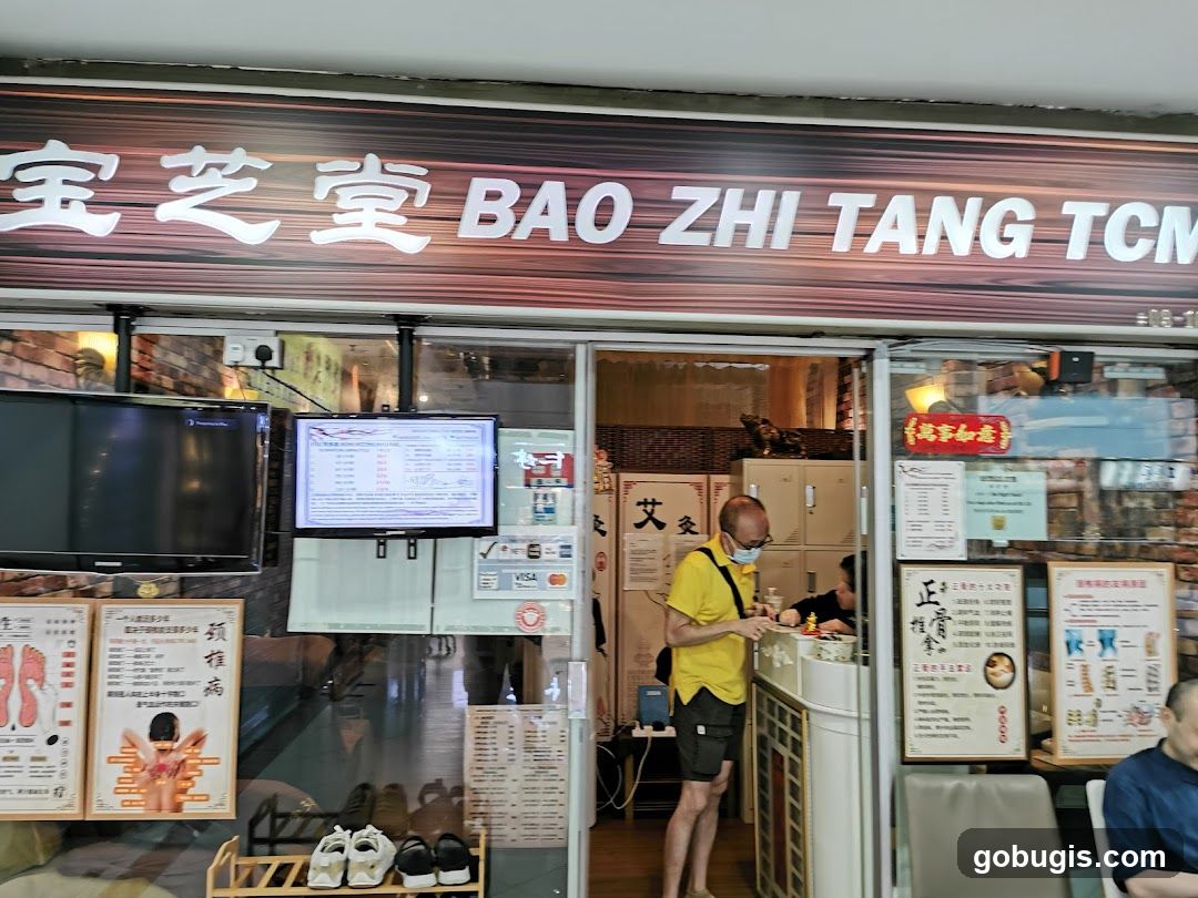 Bao Zhi Tang TCM Fu Lu Shou Branch