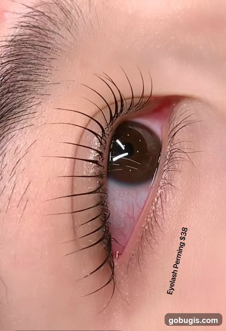 Eyelash Perm