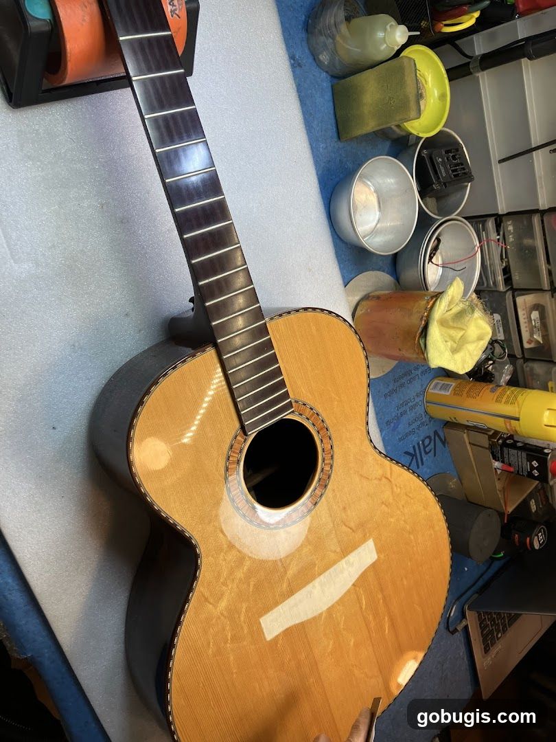 Guitar Repair