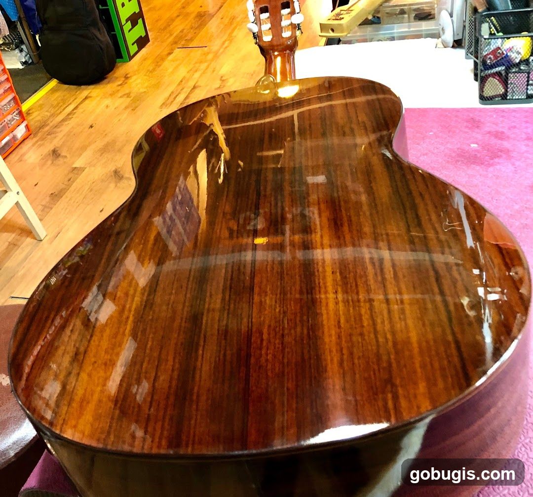 Acoustic Guitar Body