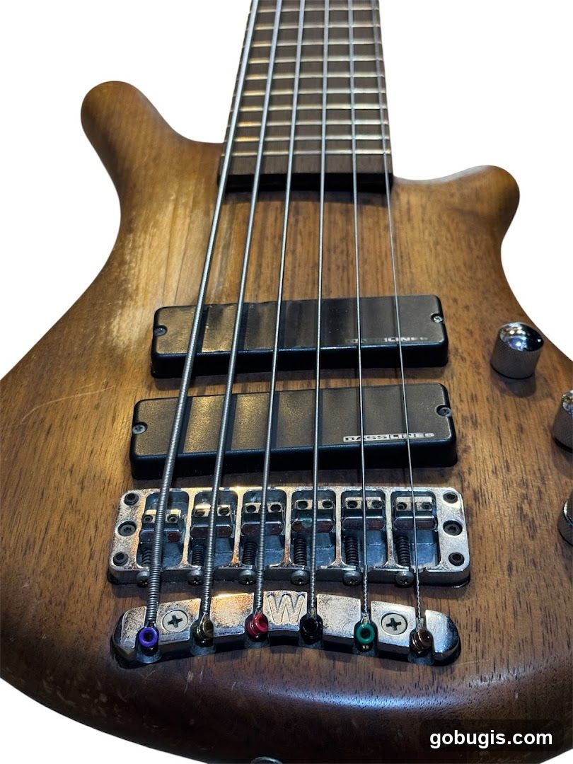 Six-String Bass Guitar