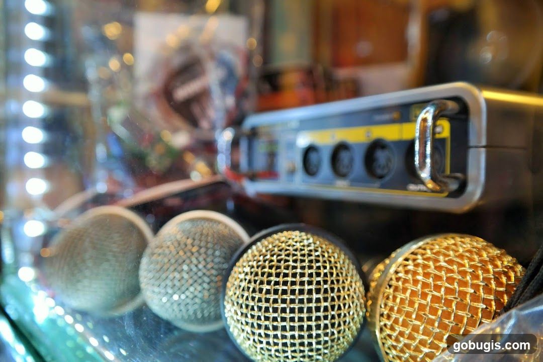 Microphones and Audio Equipment