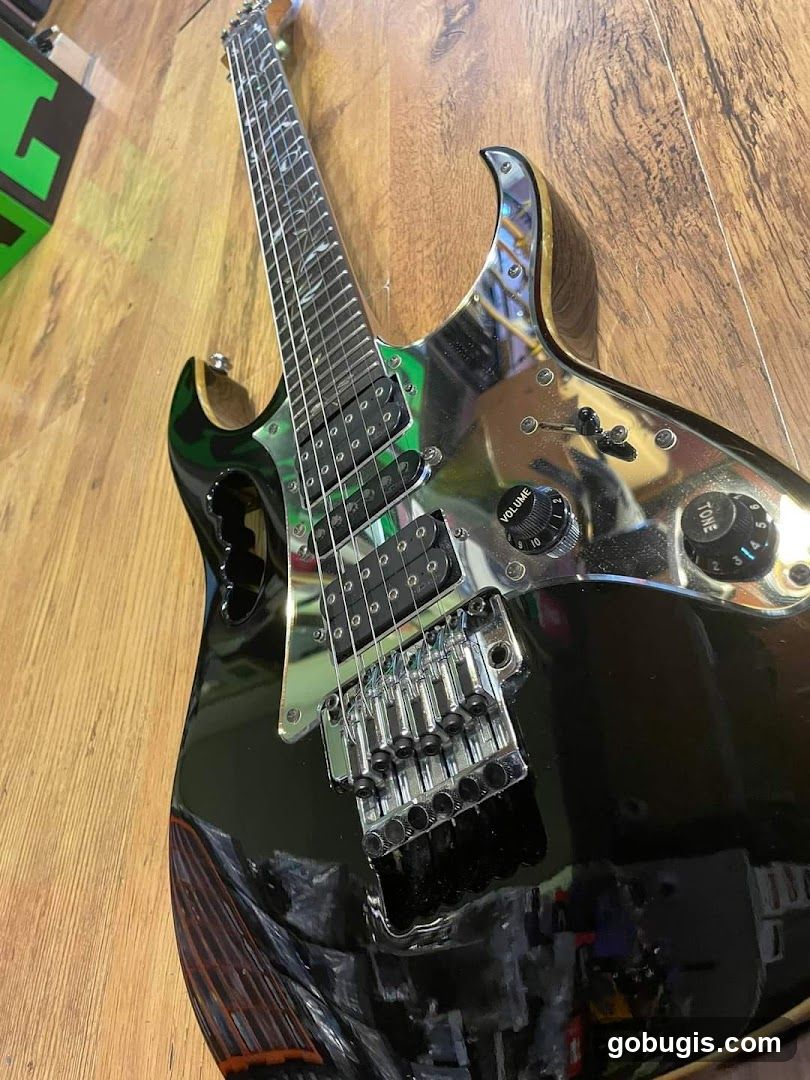 Electric Guitar