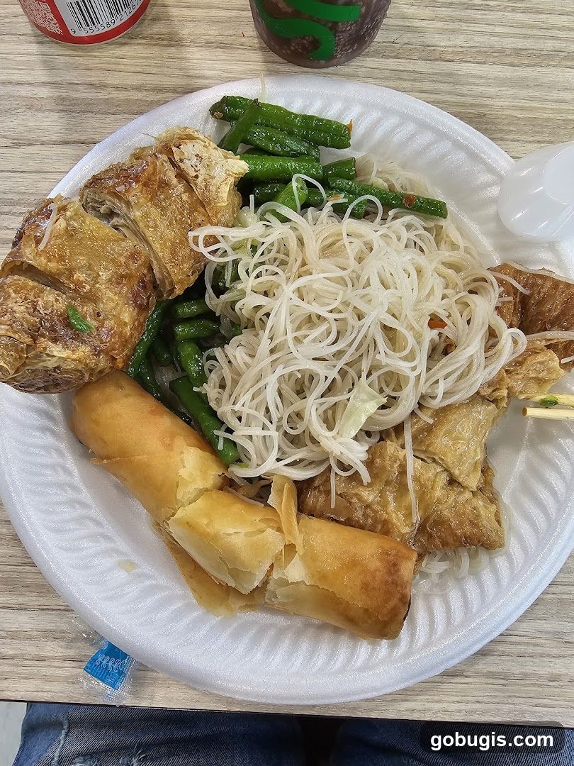 Asian Noodle Dish with Spring Rolls