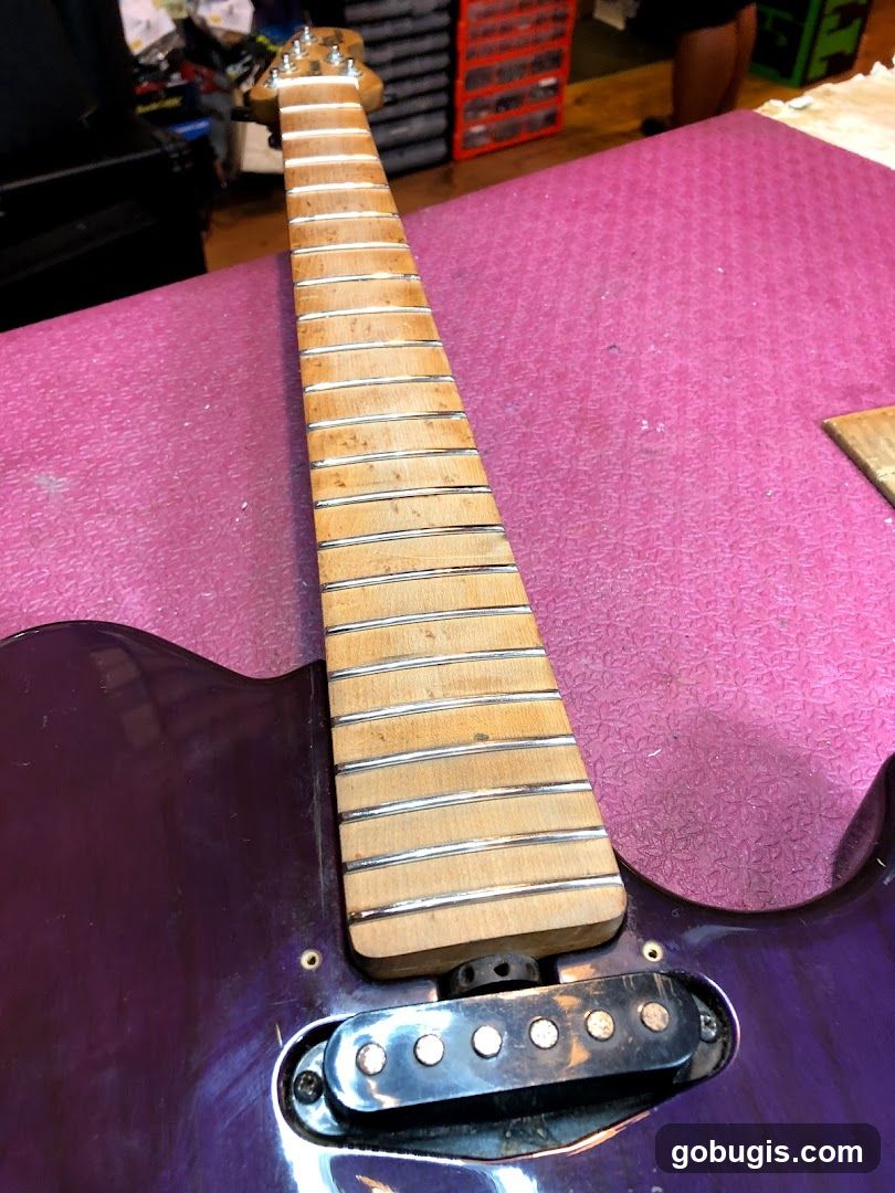Guitar Neck and Pickup