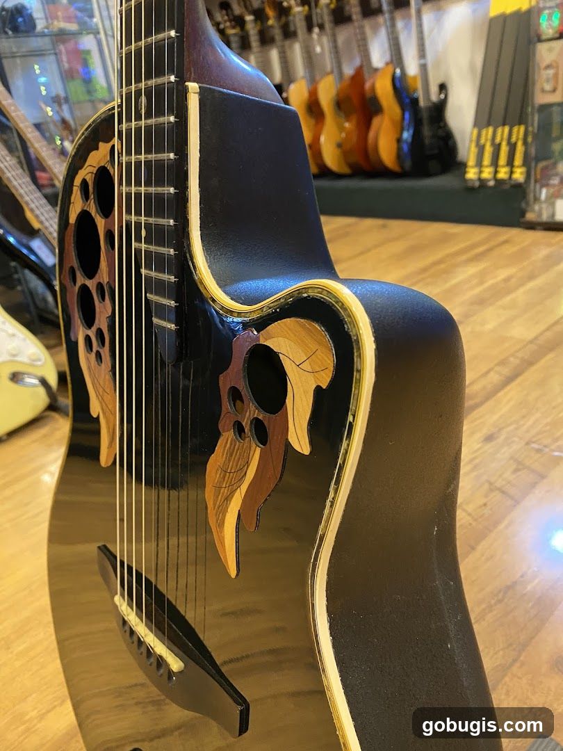 Acoustic Guitar
