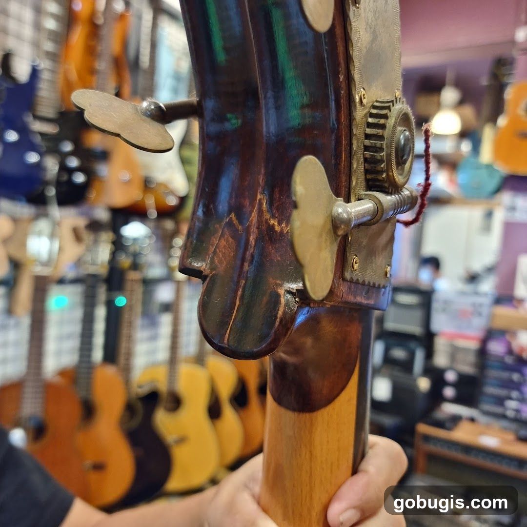 Close-up of a Double Bass Tuning Peg