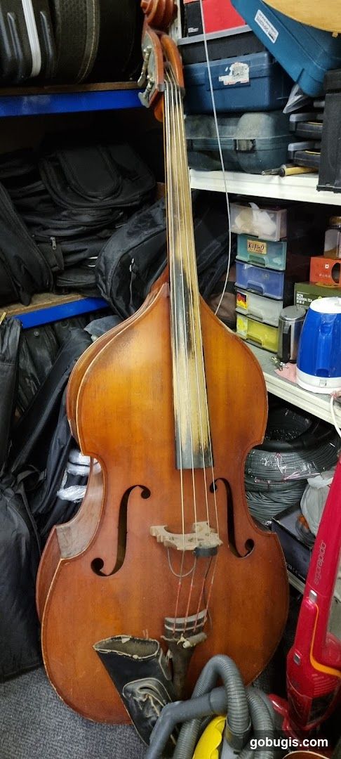 Double Bass and Vacuum Cleaner