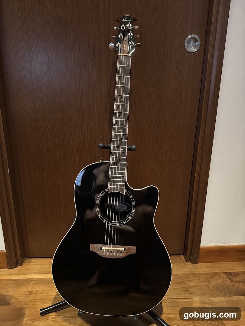 Black Acoustic Guitar