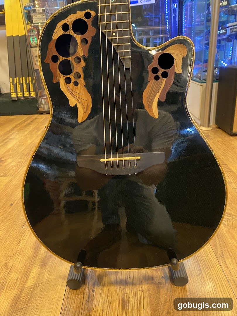 Acoustic Guitar