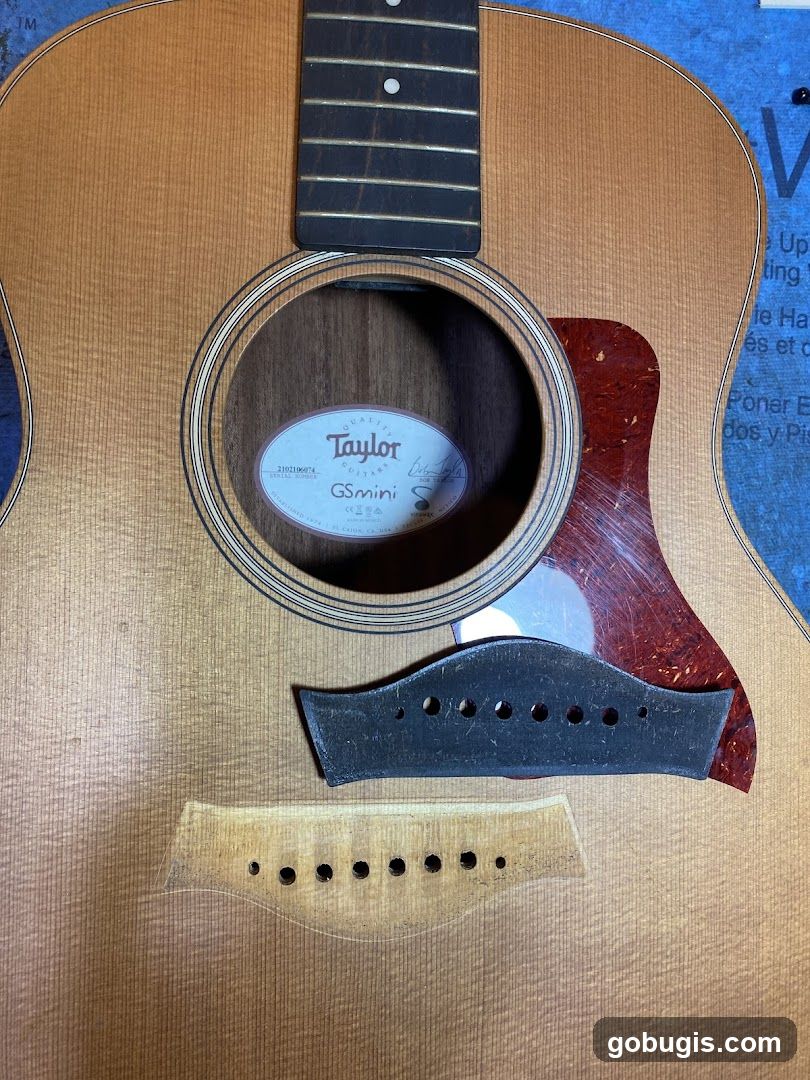 Taylor GSmini Guitar