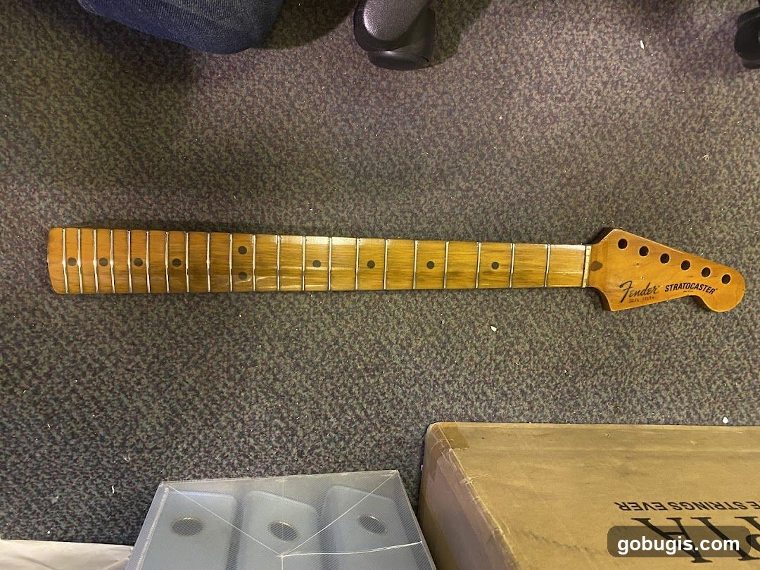 Fender Stratocaster Guitar Neck