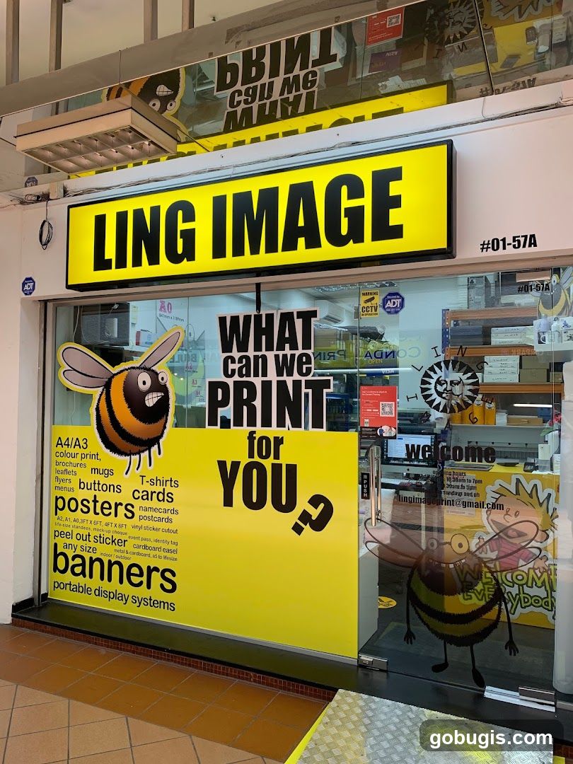 Ling Image Pte Ltd