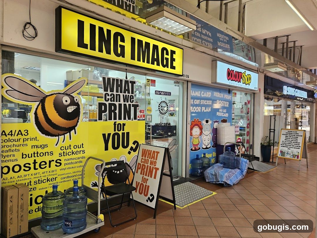 Ling Image Pte Ltd