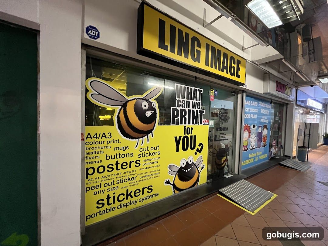 Ling Image Pte Ltd