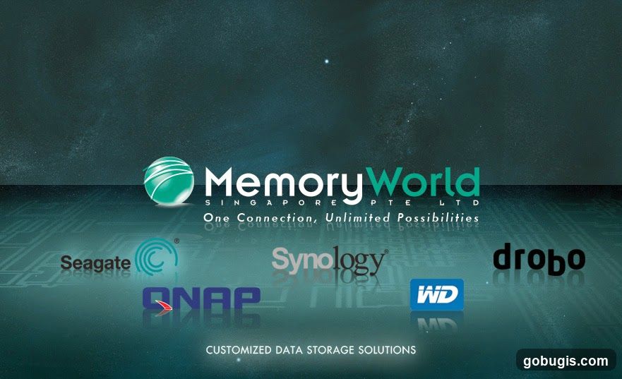 Memory World Singapore Pte Ltd