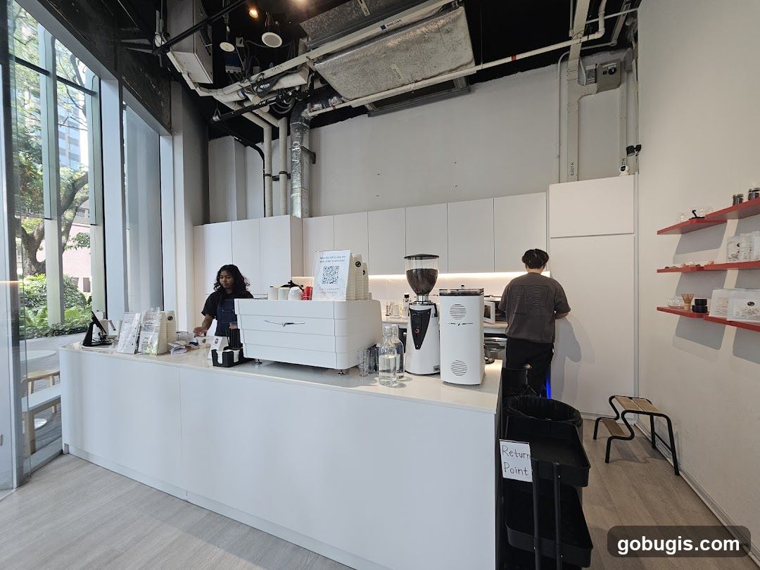 Coffee Shop Counter