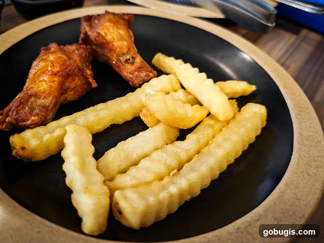 Chicken Wings and Fries