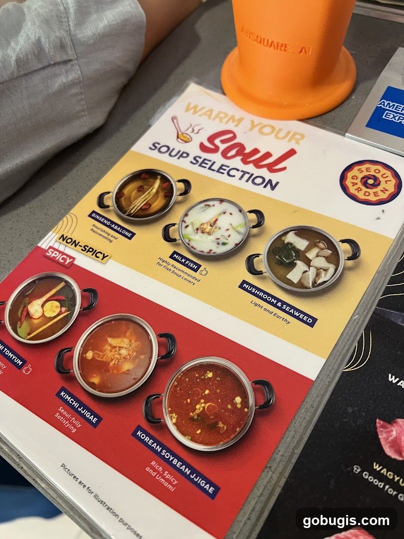 Soup Selection