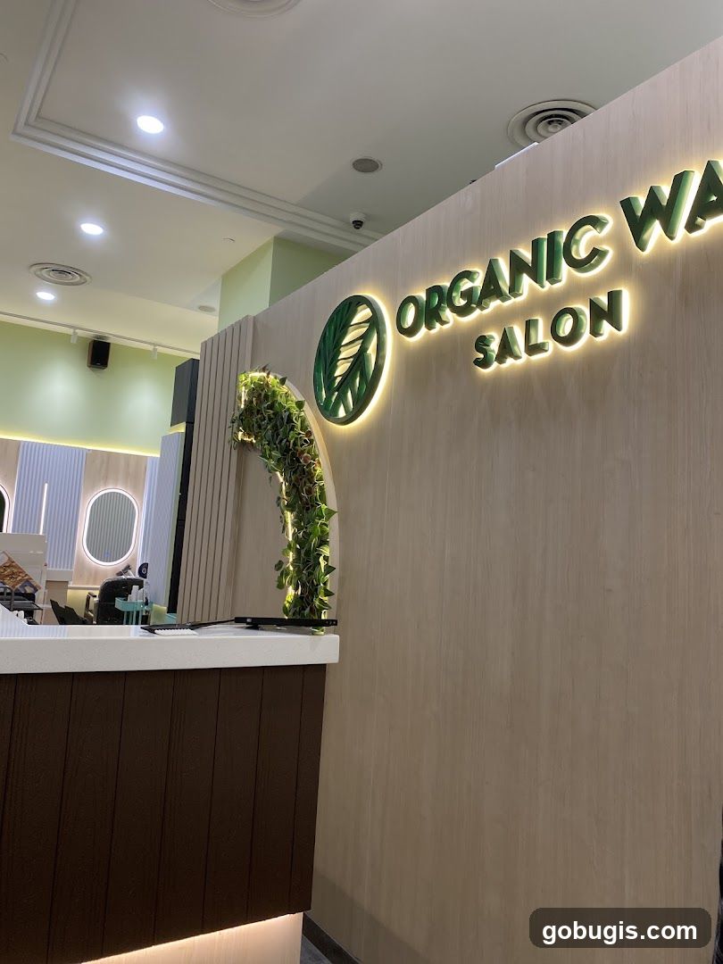 Organic Salon Interior